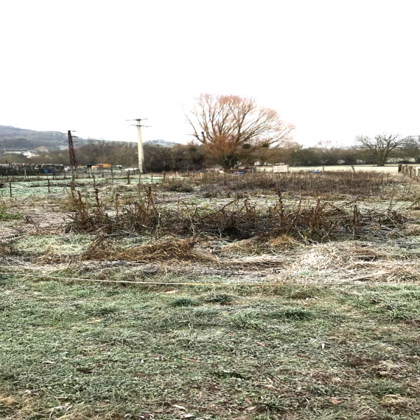 Offres de vente Terrain Leyr 54760