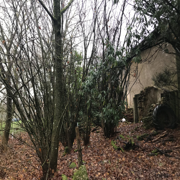 Offres de vente Maison Lironville 54470